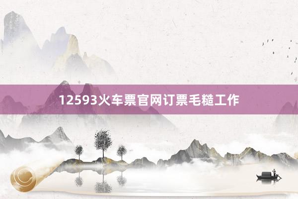 12593火车票官网订票毛糙工作