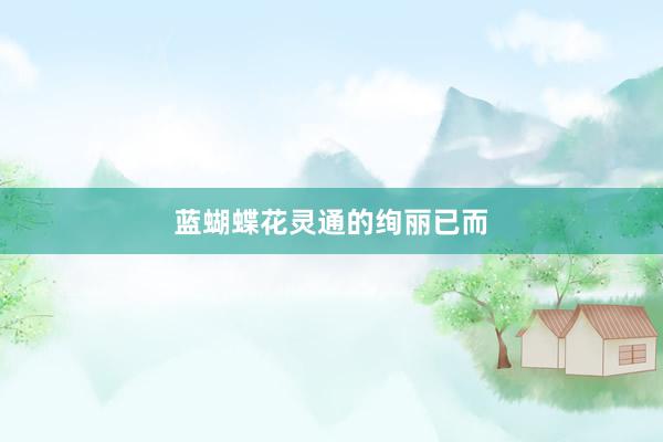 蓝蝴蝶花灵通的绚丽已而