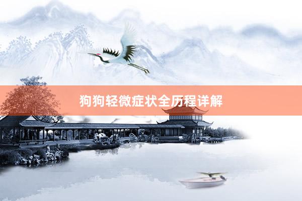狗狗轻微症状全历程详解